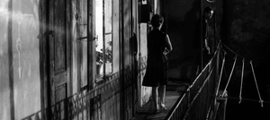 31 Grad im Schatten-still-web4.jpg